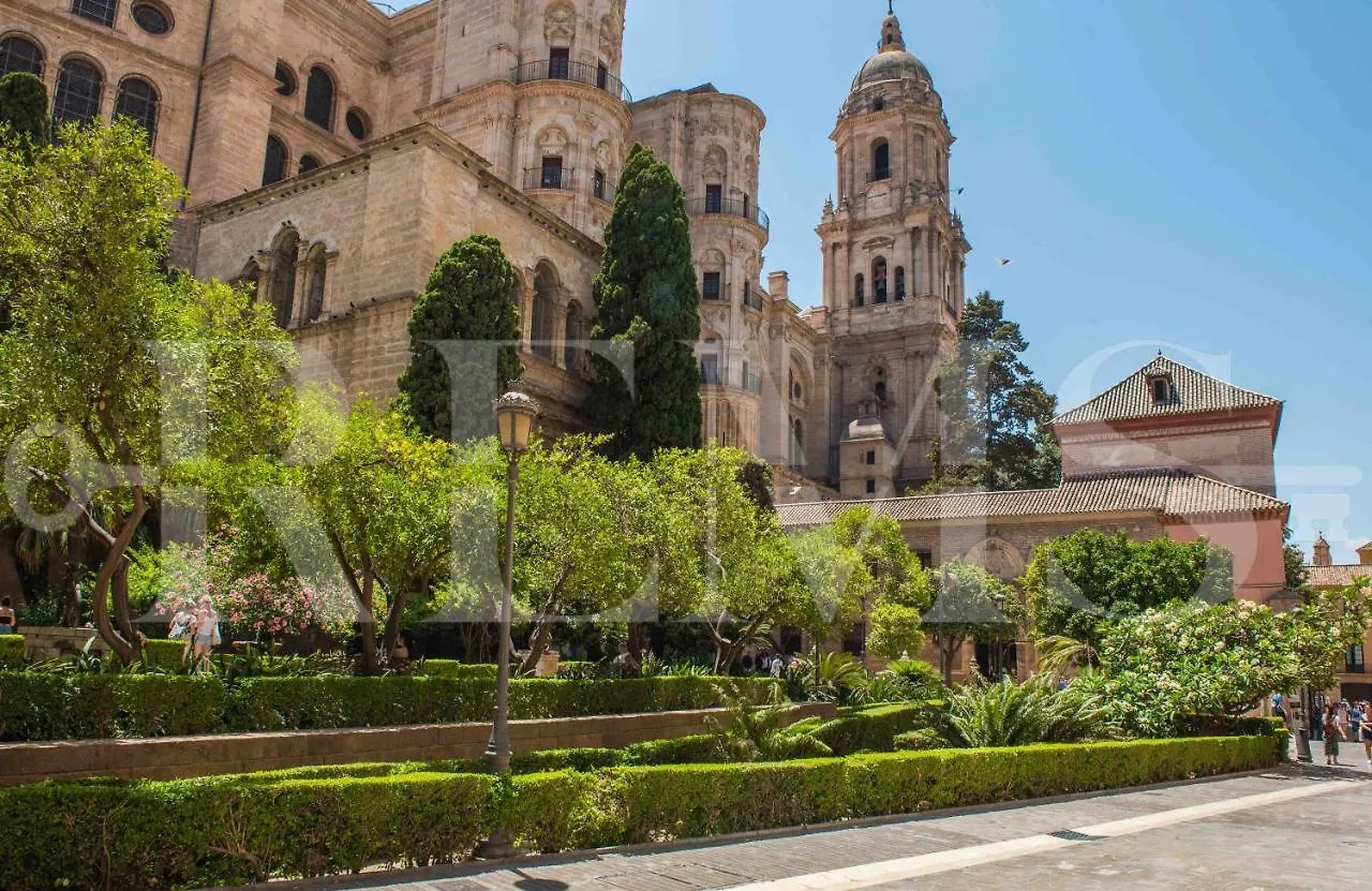 Superior Apartment In The Historic City Center By Rems Malaga