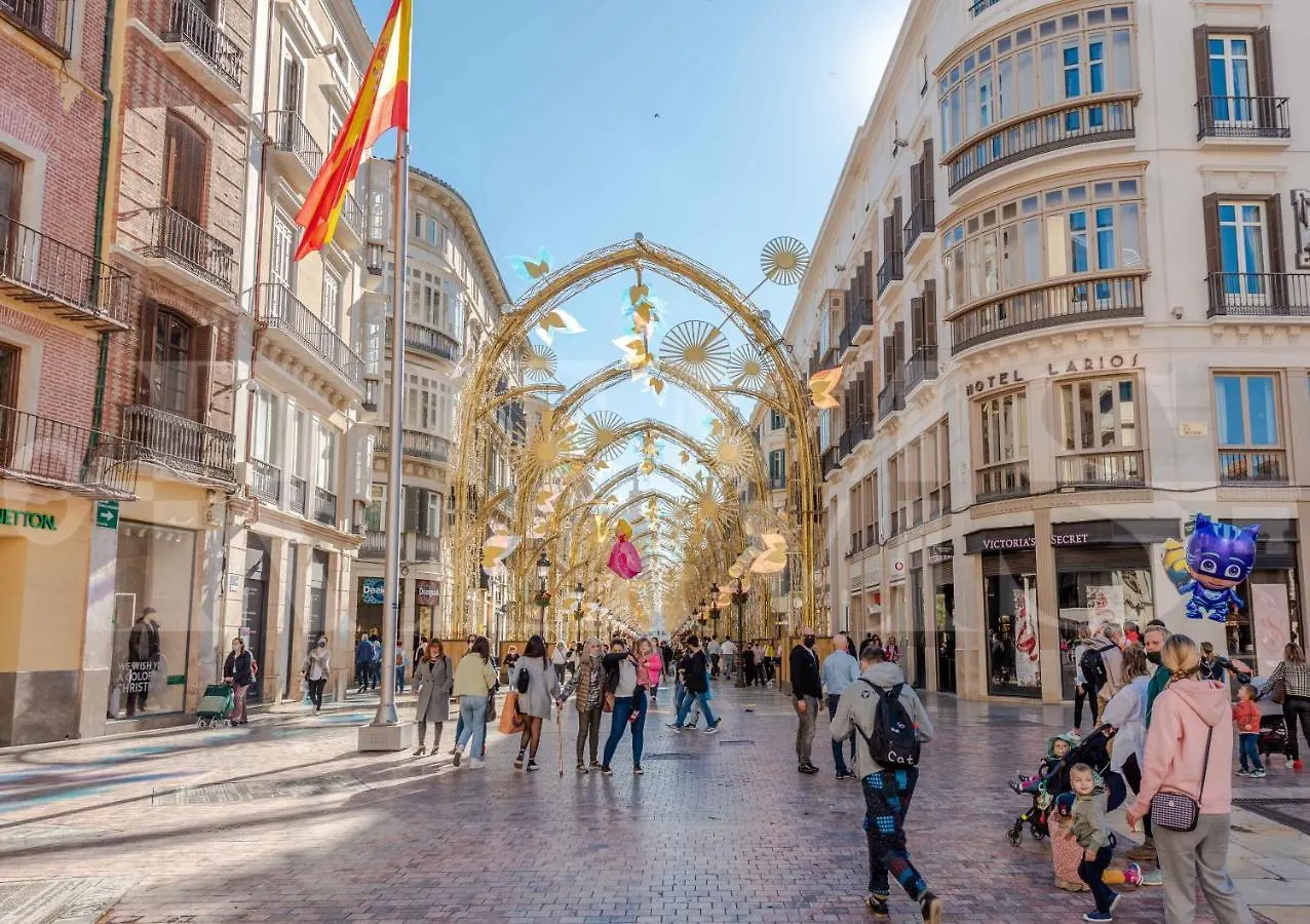 Superior Apartment In The Historic City Center By Rems Malaga
